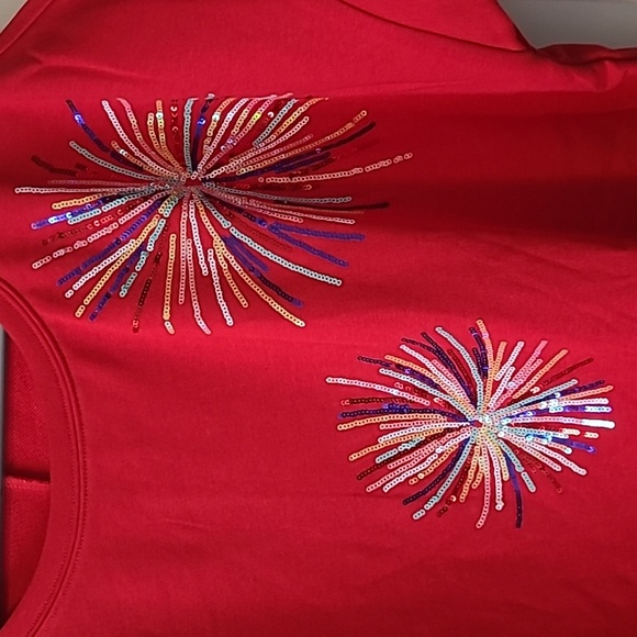 🎆 Firework Top - Picture 4 of 8
